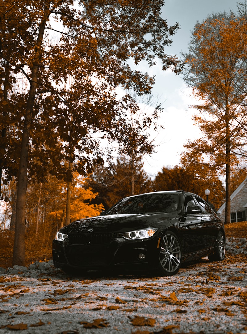 BMW Limousine - GlanzWerk®